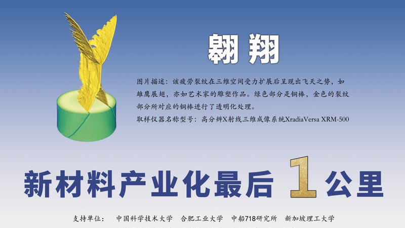 磷酸铁锂工业：海内生产名堂与挑战