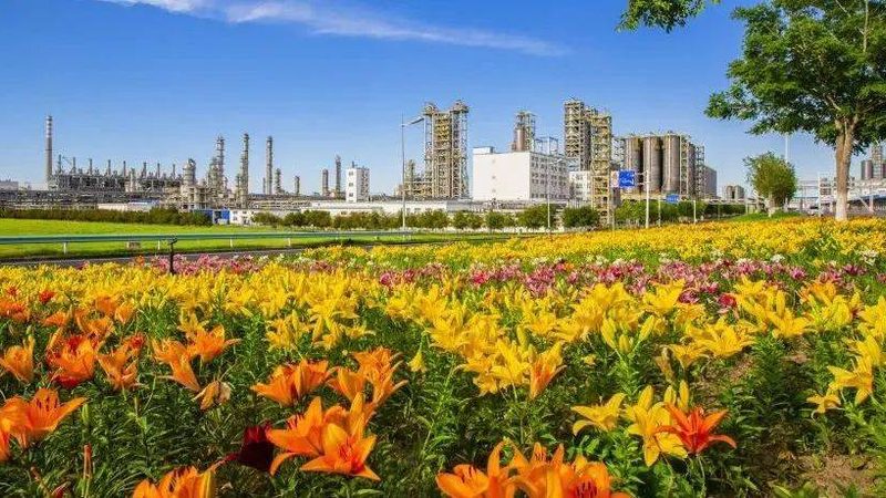 水性涂料防腐剂：怎样选择适合的守护者**