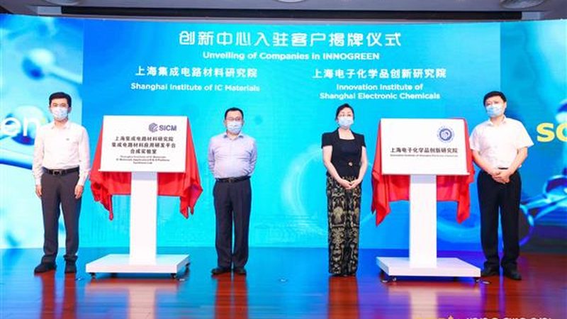 磷酸铁锂正极质料：揭秘其性能与市场名堂
