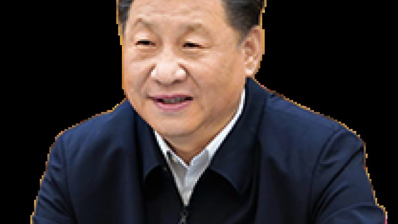 成都修建新质料厂家报价单：揭秘修建新质料选型的要害要素**